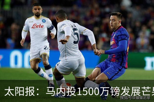 太阳报：马内投1500万镑发展芒果产业，计划为家乡创造1000个岗位