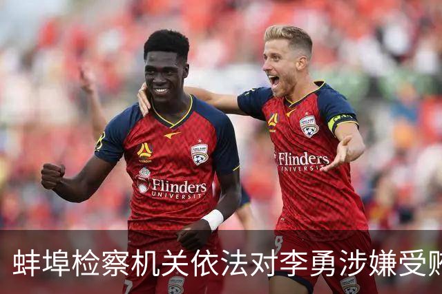 蚌埠检察机关依法对李勇涉嫌受贿、利用影响力受贿案提起公诉